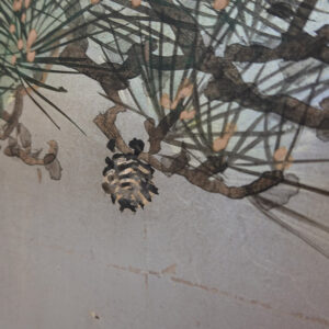 100 Years Old Japanese Screen, Pine Tree on Silver - Image 18