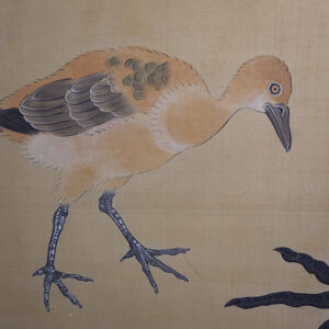 Late Edo Period Japanese Screen, Peacock Under Pine Tree - Image 15