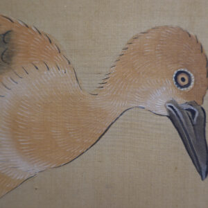 Late Edo Period Japanese Screen, Peacock Under Pine Tree - Image 17