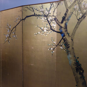 Late Edo to Meiji Period Japanese Screen, Plum Tree Gilt Screen - Image 3
