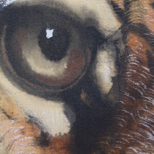 20th Century Japanese Screen, Tiger - Image 6