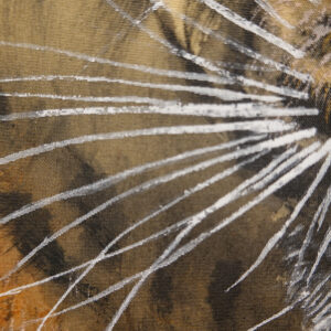 20th Century Japanese Screen, Tiger - Image 8