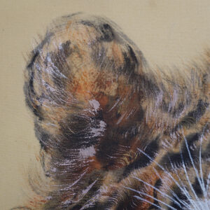 20th Century Japanese Screen, Tiger - Image 4