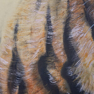 20th Century Japanese Screen, Tiger - Image 10