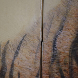 20th Century Japanese Screen, Tiger - Image 12