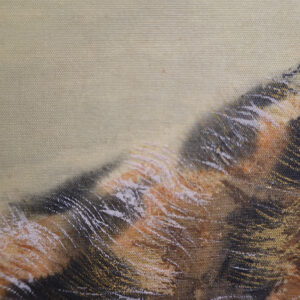 20th Century Japanese Screen, Tiger - Image 11